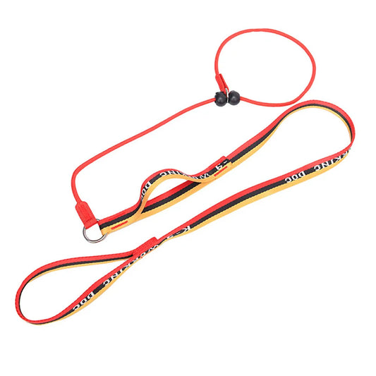 No-Pull Dog Leash and Collar Set