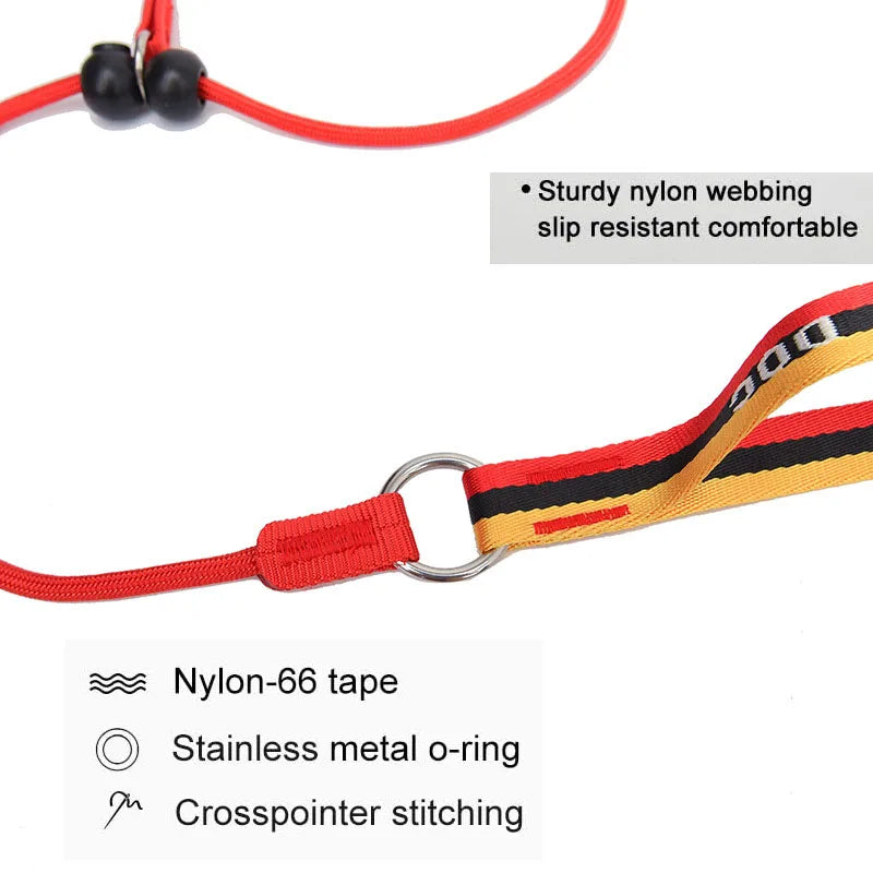 No-Pull Dog Leash and Collar Set