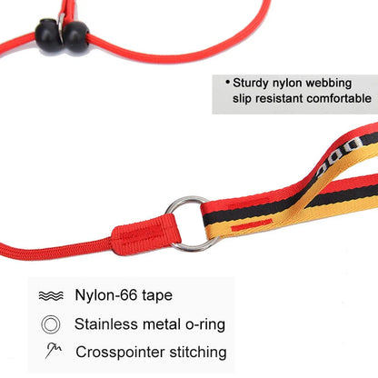 No-Pull Dog Leash and Collar Set