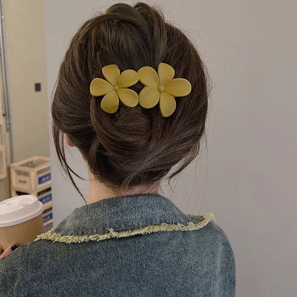 Stylish Hair Clips Accessories for Women