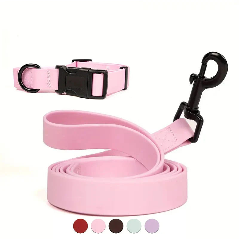 Adjustable Dog Collar and Leash Set