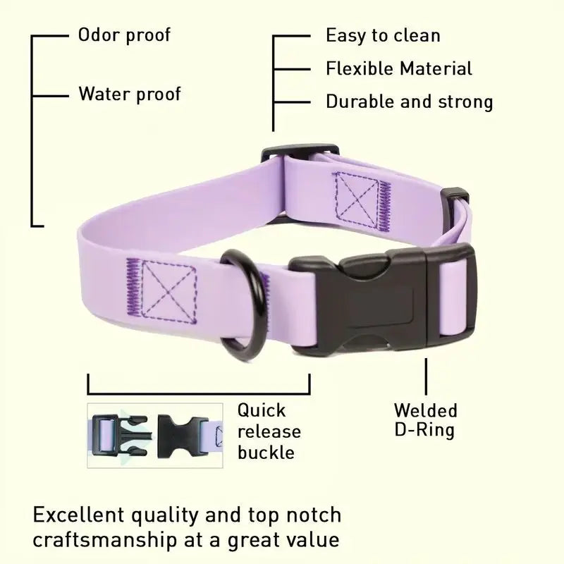 Adjustable Dog Collar and Leash Set